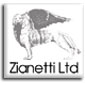 Link to Zianetti website